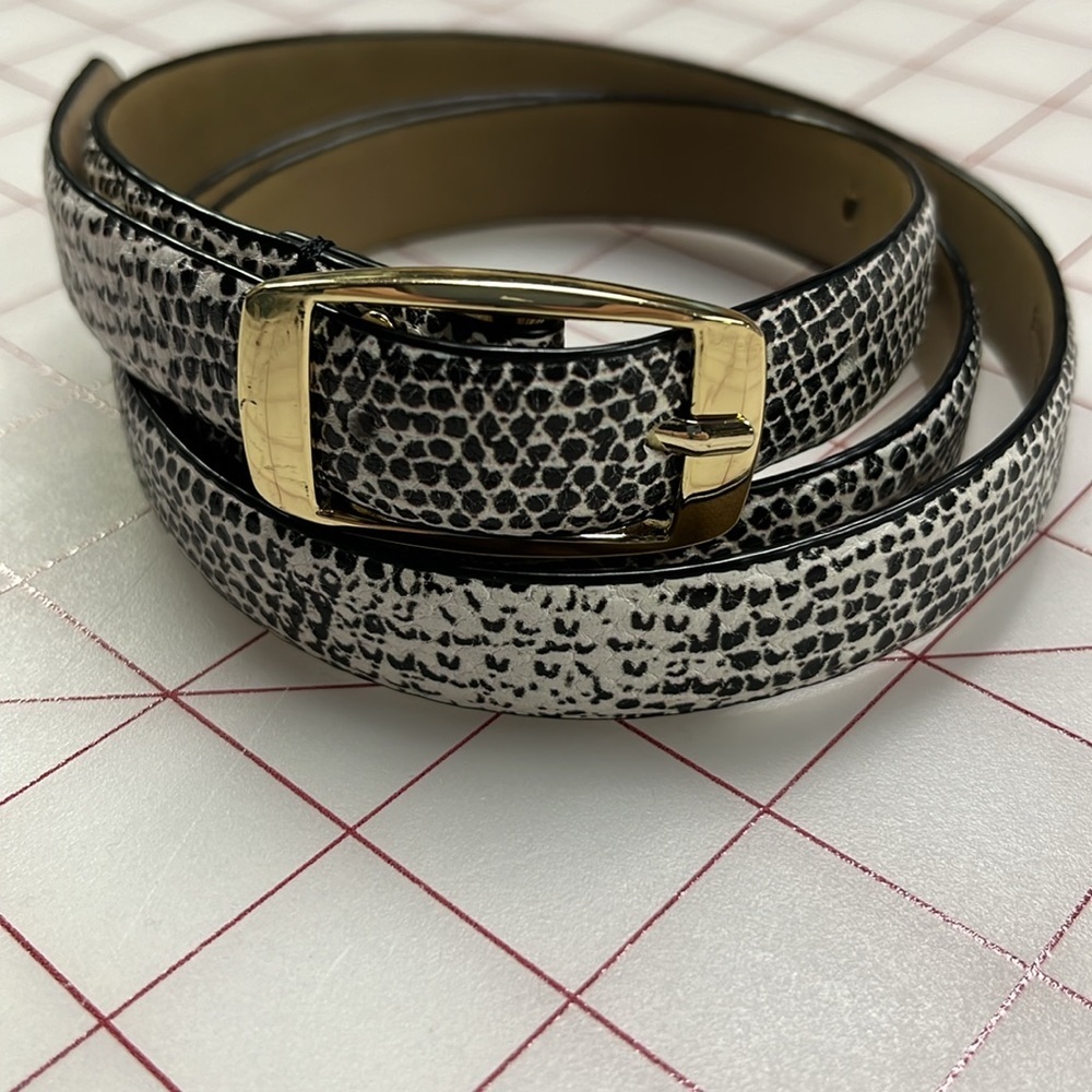 TALBOTS Reptile/Snakeskin Career/City B/W Leather Belt Gold Rectangle Buckle M